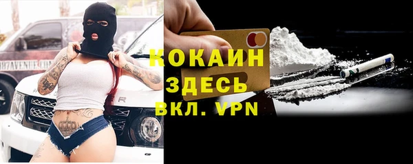 прущие грибы Арсеньев