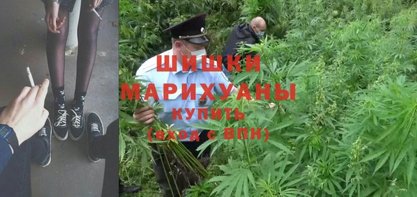 прущие грибы Арсеньев