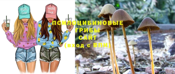 прущие грибы Арсеньев
